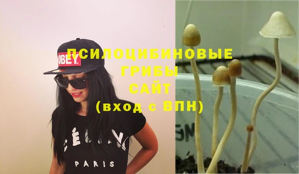 mix Армянск