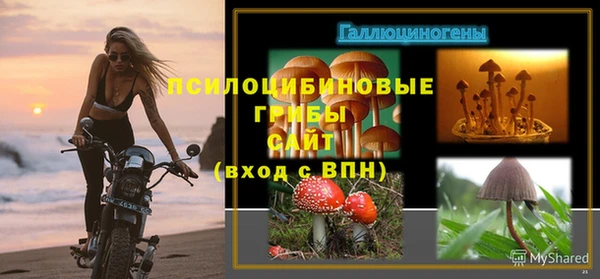 гидропоника Арсеньев