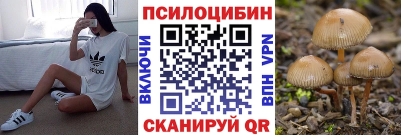 Галлюциногенные грибы мицелий  KRAKEN сайт  Городище 